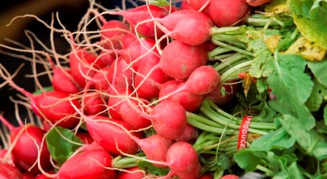 Lepiej przeproś rzodkiewkę za niechęć do niej 