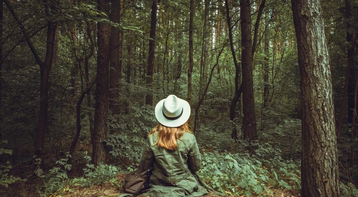 Długi weekend czerwcowy. Wypoczywajmy na łonie natury: dzika przyroda jest dobra na wszystko!