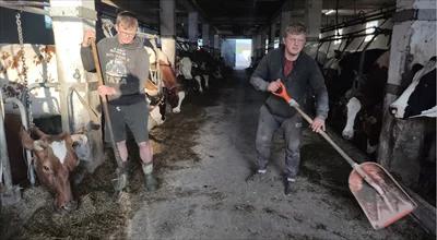 Sąsiedzki konflikt c.d. "Krowa w prokuraturze" - reportaż Adama Bogoryja-Zakrzewskiego 