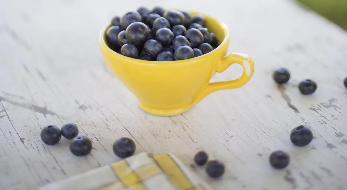 Jagody w kuchni: crumble, racuchy i inne pyszności 