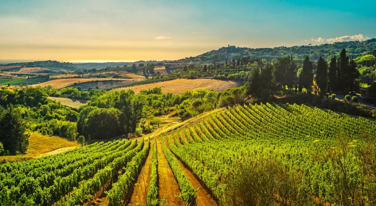 Toskania – miejsce na ziemi, któremu Pan Bóg dał za dużo