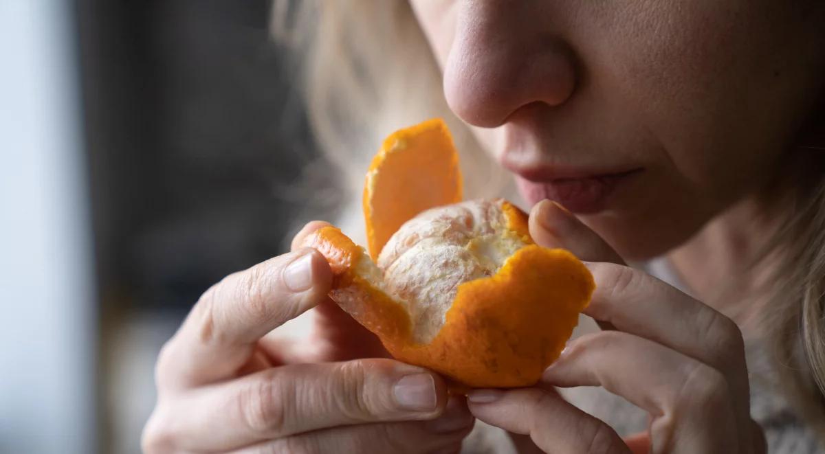 Nasz nos źródłem wspomnień. Jak działa zmysł węchu?