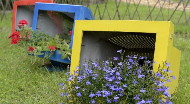 Partyzantka ogrodnicza, czyli jak pięknieją miasta dzięki aktywistom