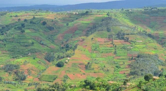 Bieda i oszałamiające widoki. Burundyjskie kontrasty