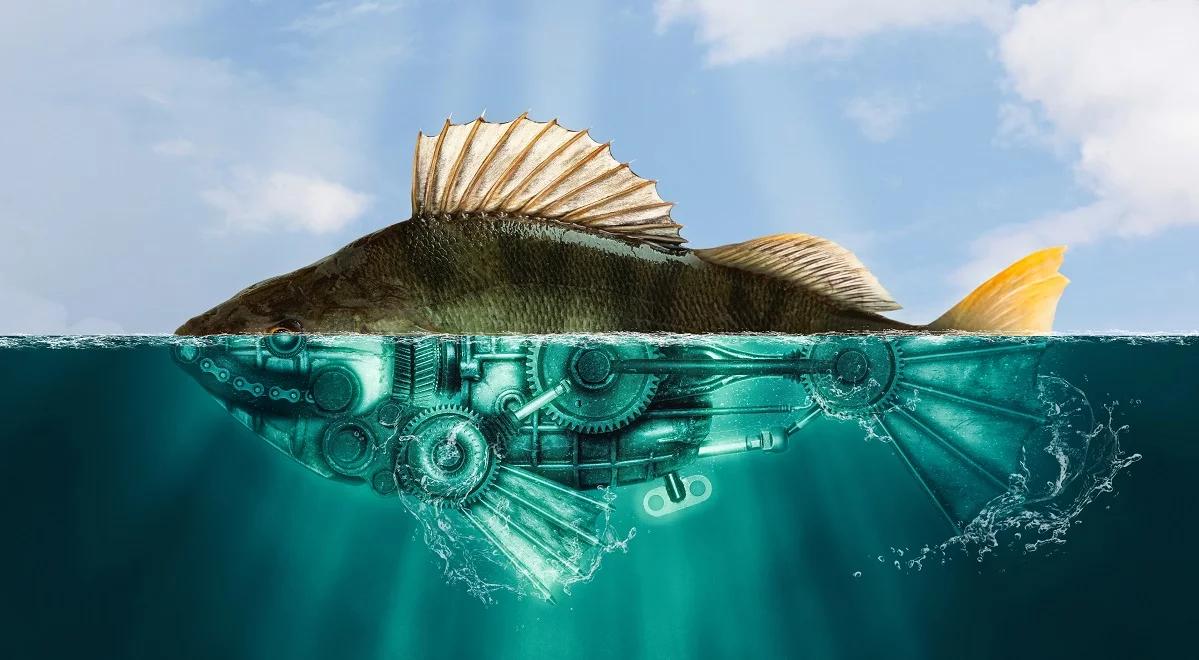 Wszechstronna cyberryba – wynalazek naukowców z Krakowa