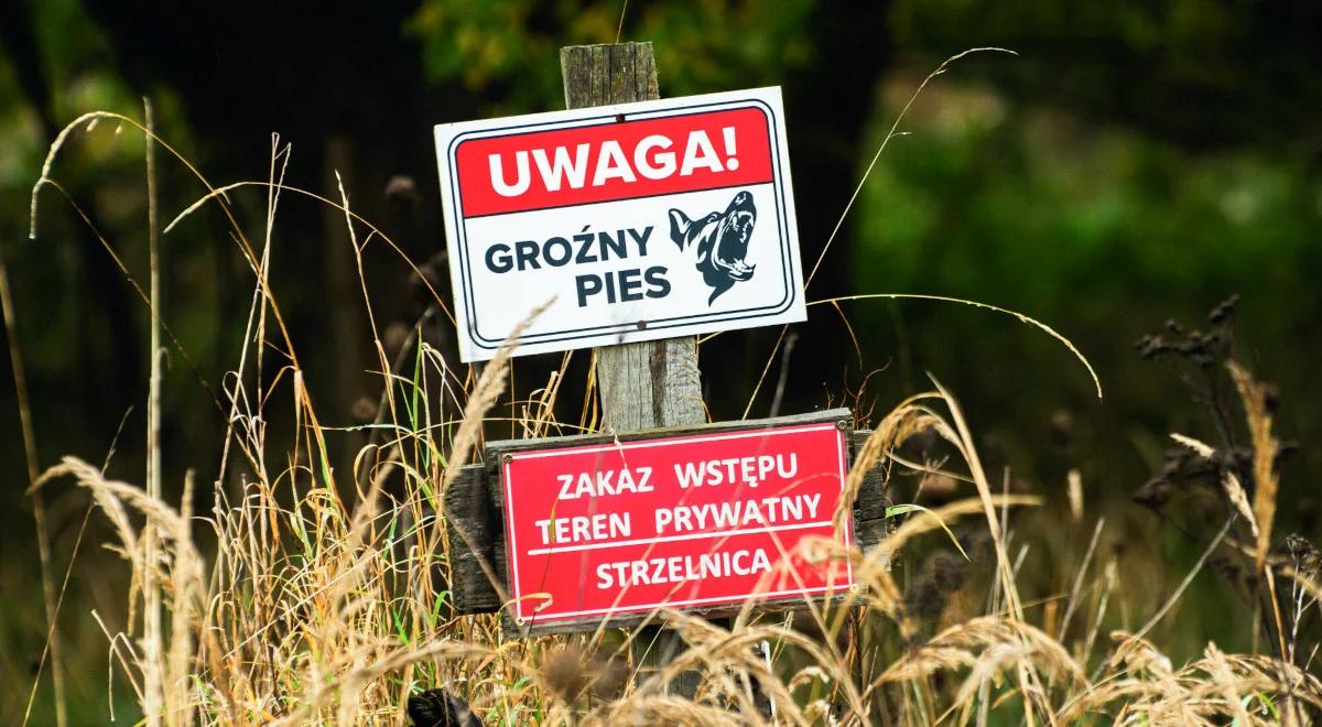 Mężczyzna zmarł pogryziony przez psy. Dramatyczny reportaż "Dlaczego"