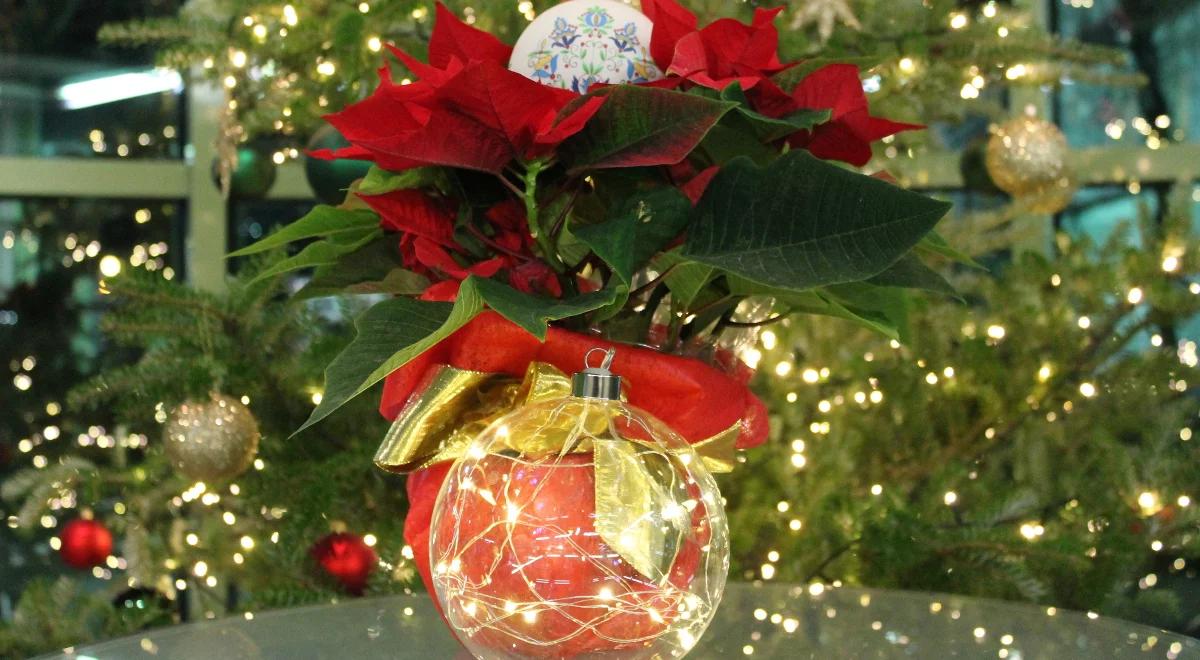 Opowieści wigilijne 2023 w Trójce [POSŁUCHAJ]