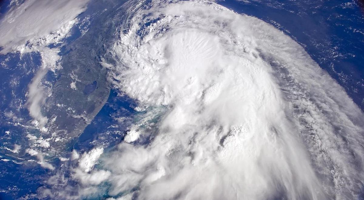 W jaki sposób walczyć z ociepleniem klimatu?