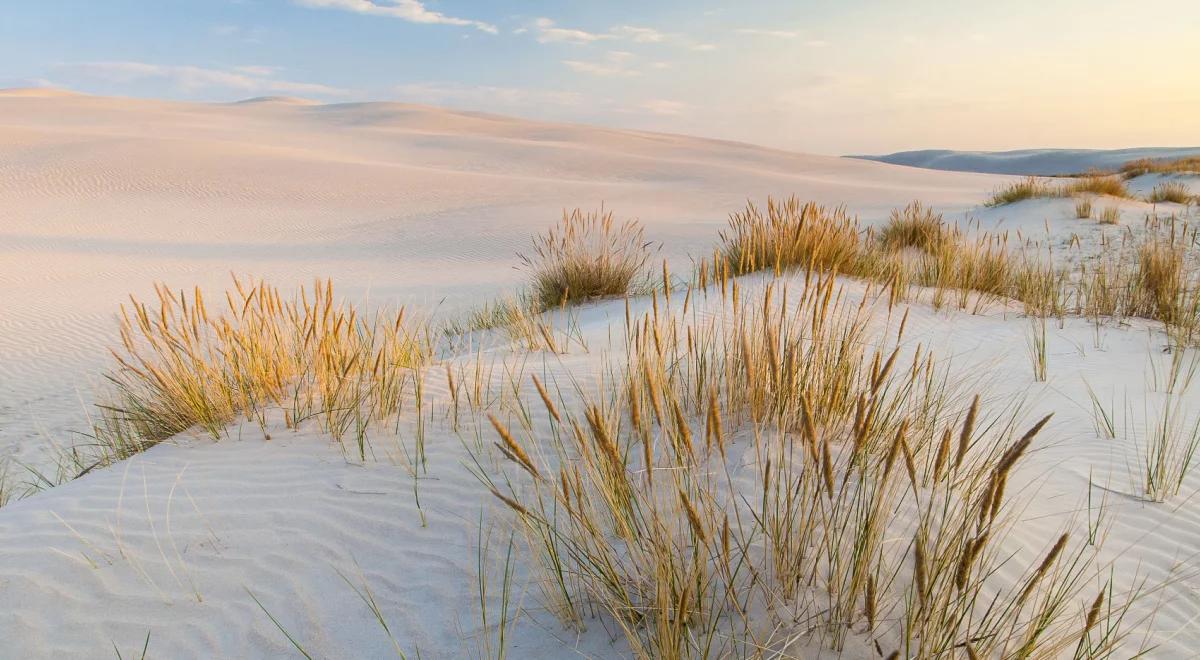 Wydmy "śpiewają" w Słowińskim Parku Narodowym. Na czym polega ten fenomen?