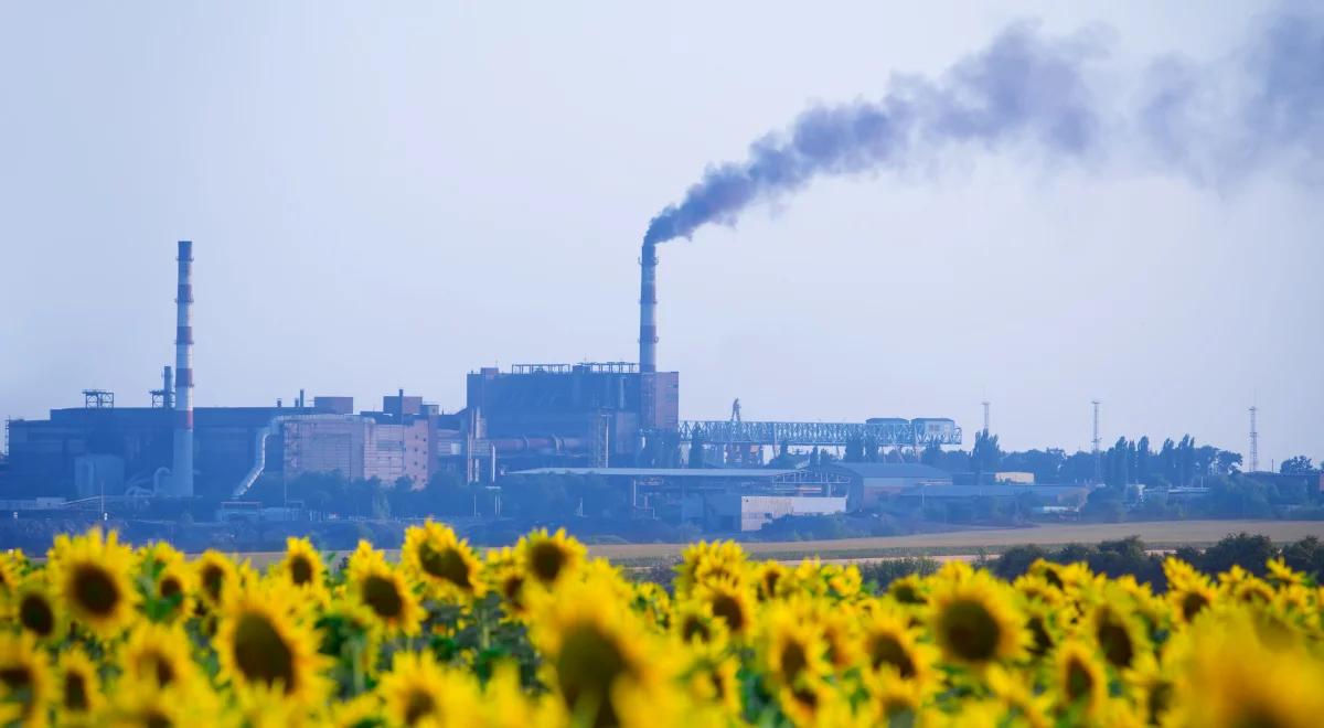 24. Piknik Naukowy. Co dzieje się w naszych płucach w zanieczyszczonym powietrzu?