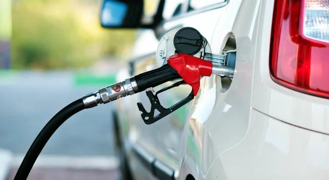 Ponad 830 km na litrze paliwa? Polscy studenci udowodnili, że jest to możliwe!