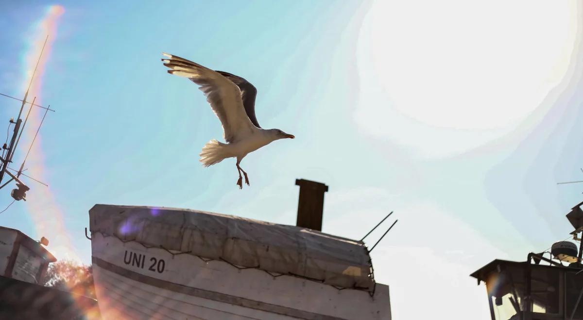 Mielno – przystań rybacka, zabytkowe organy i… UFO