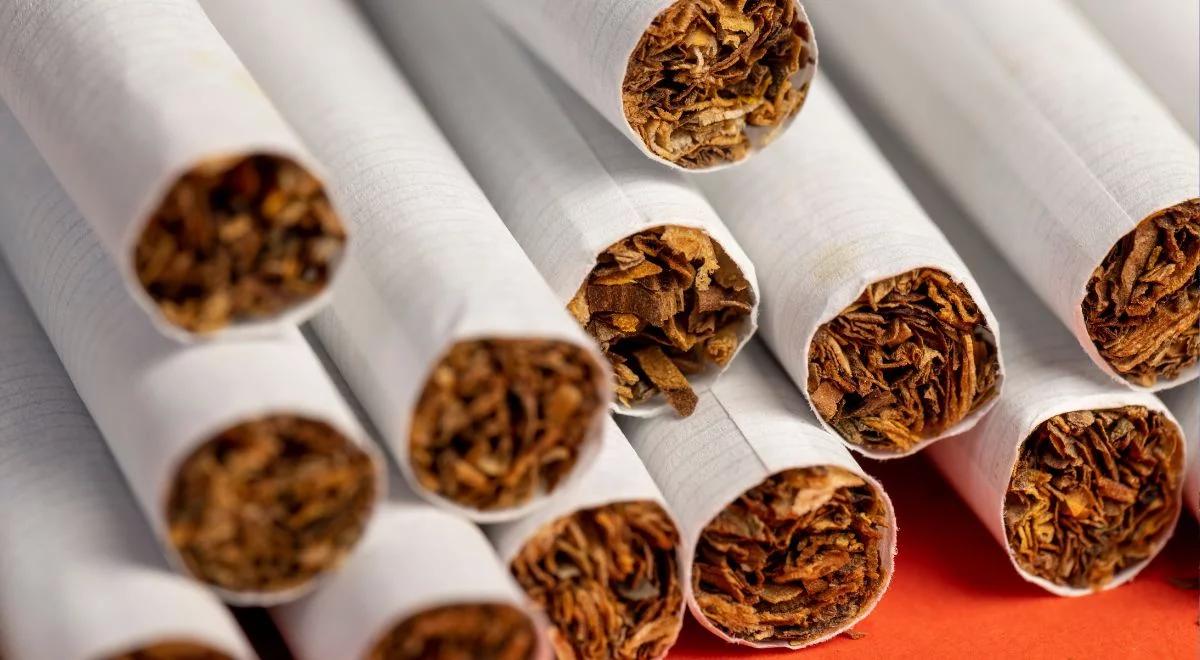 Renta tytoniowa to fake news!