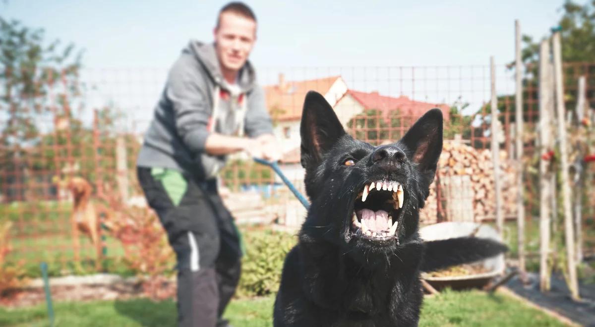 Czworonożny koszmar, czyli uciążliwy pies sąsiada