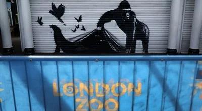 Nowa praca Banksy'ego na londyńskim zoo. Obiecują zachować graffiti