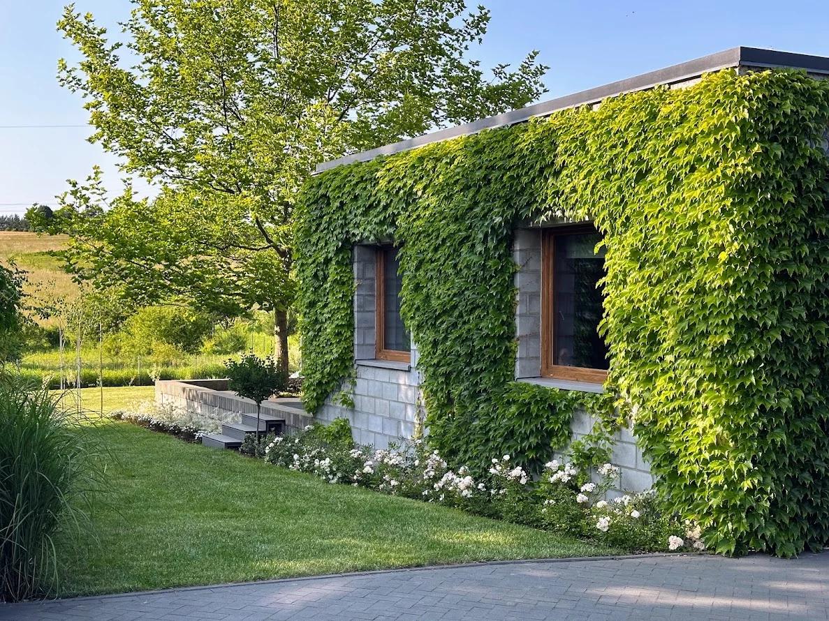 Cemenciak z Grodźca pod Będzinem