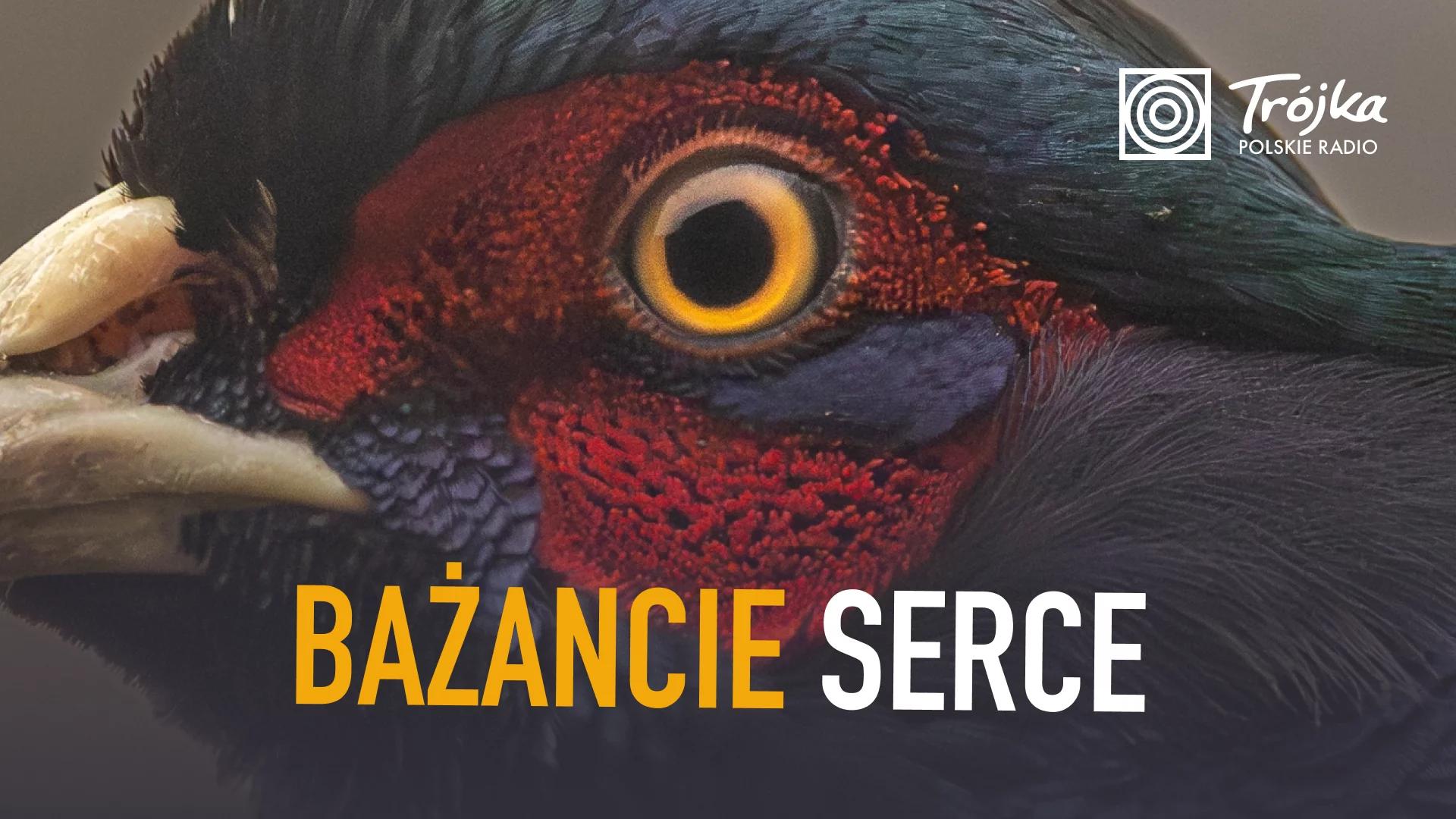 Bażancie Serce