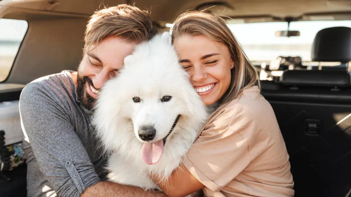 Światowy Dzień Zwierząt. Co nasze zwierzęta mówią o nas?