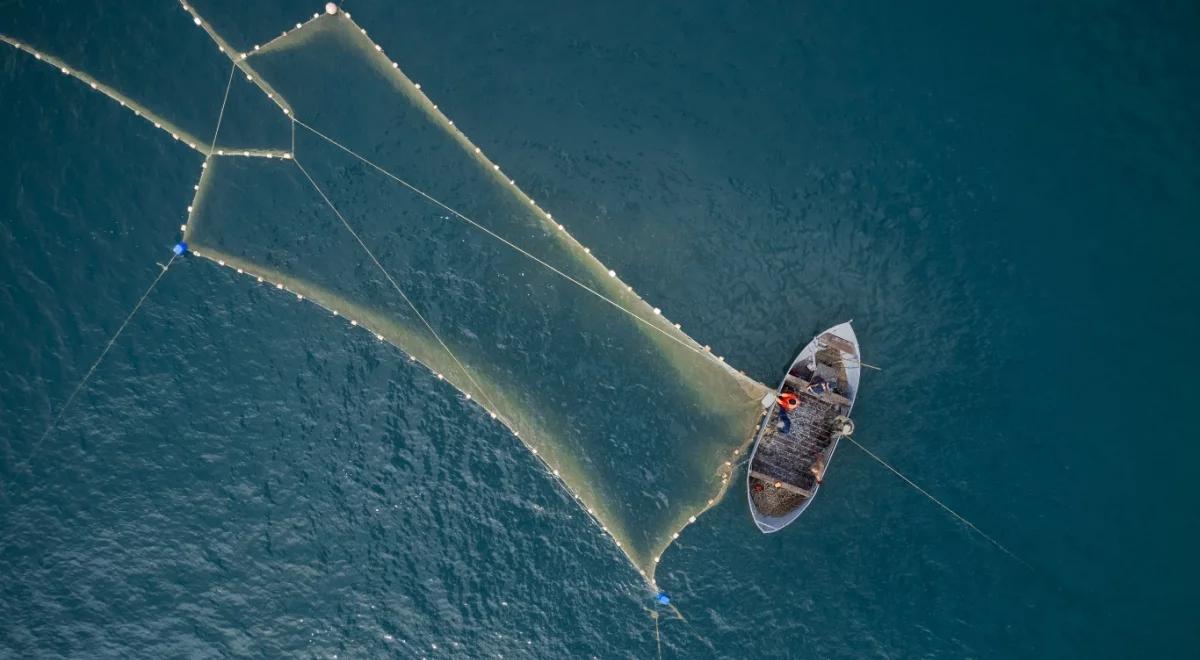 Czy w morzach i oceanach zabraknie ryb?