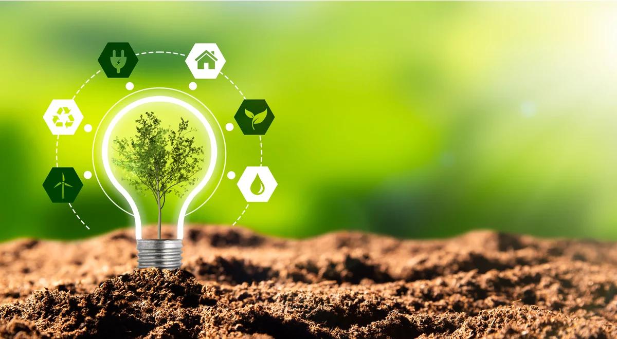 Kraków we władaniu zielonej energii?