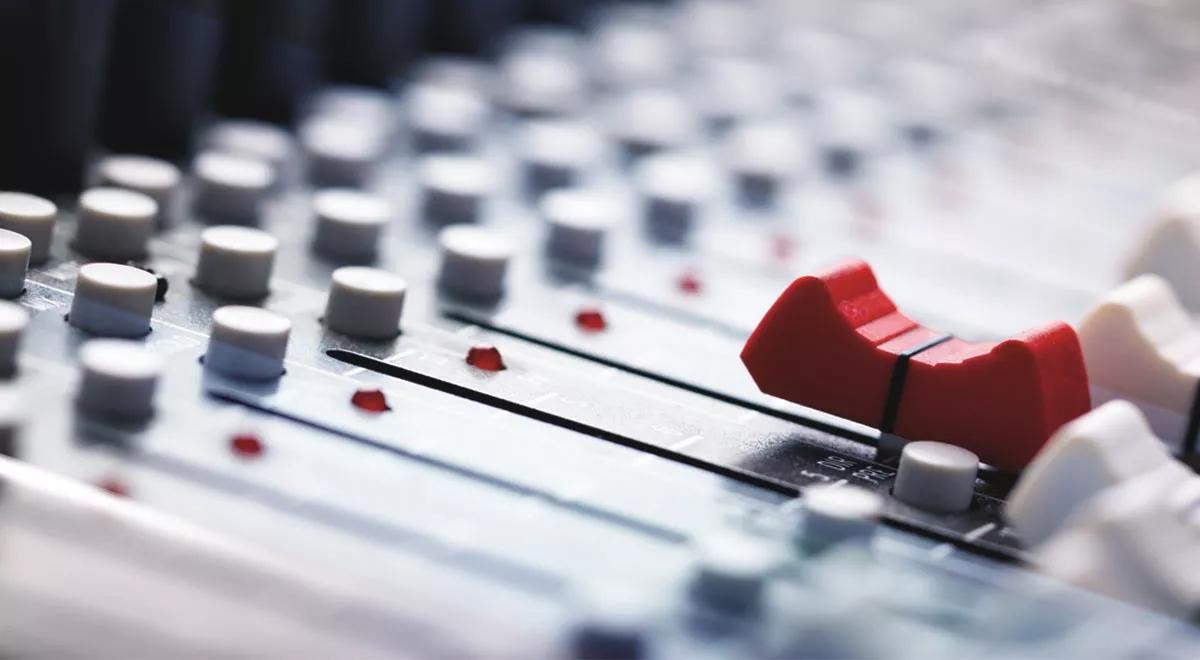 JEŻOZWIERZE Z PIÓRAMI