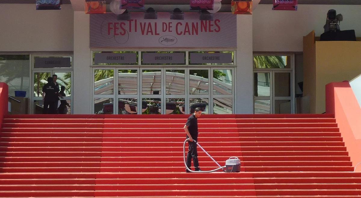 Czerwony dywan na wyciągnięcie ręki 