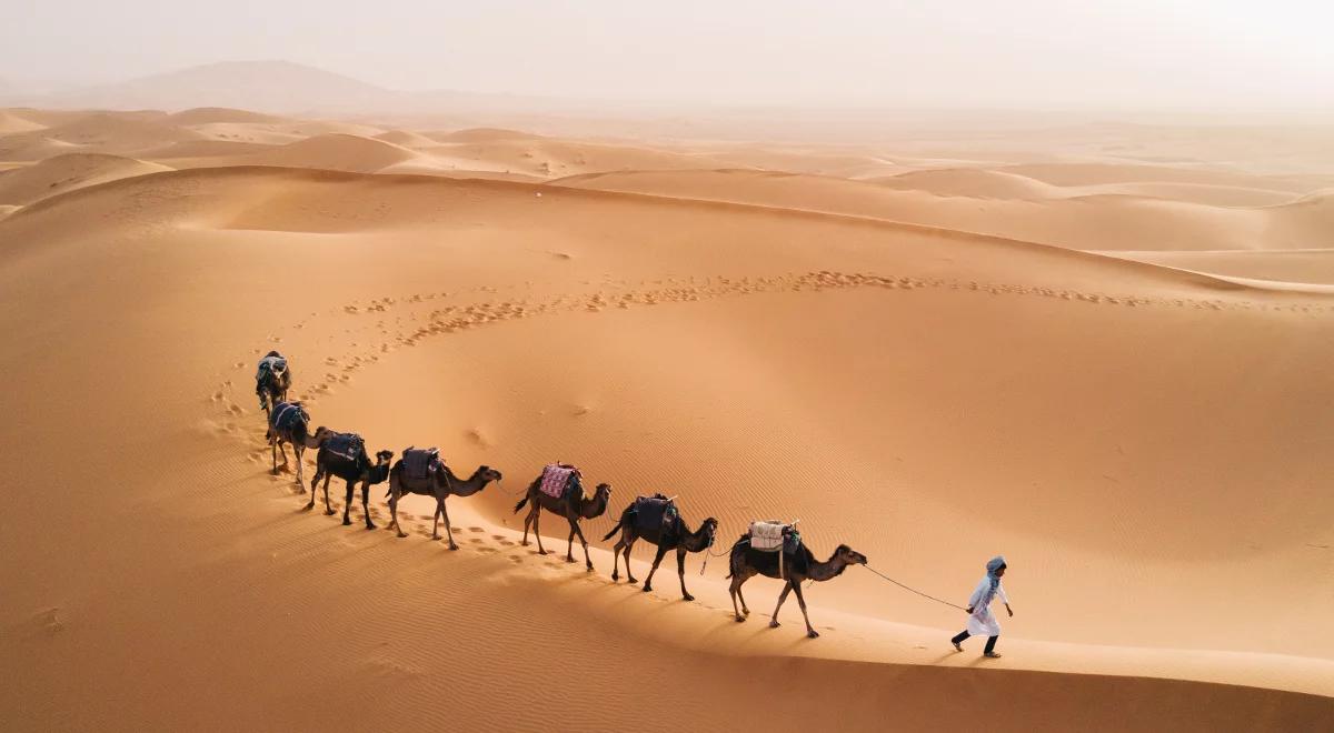 Pustynie, czyli miejsca poza czasem