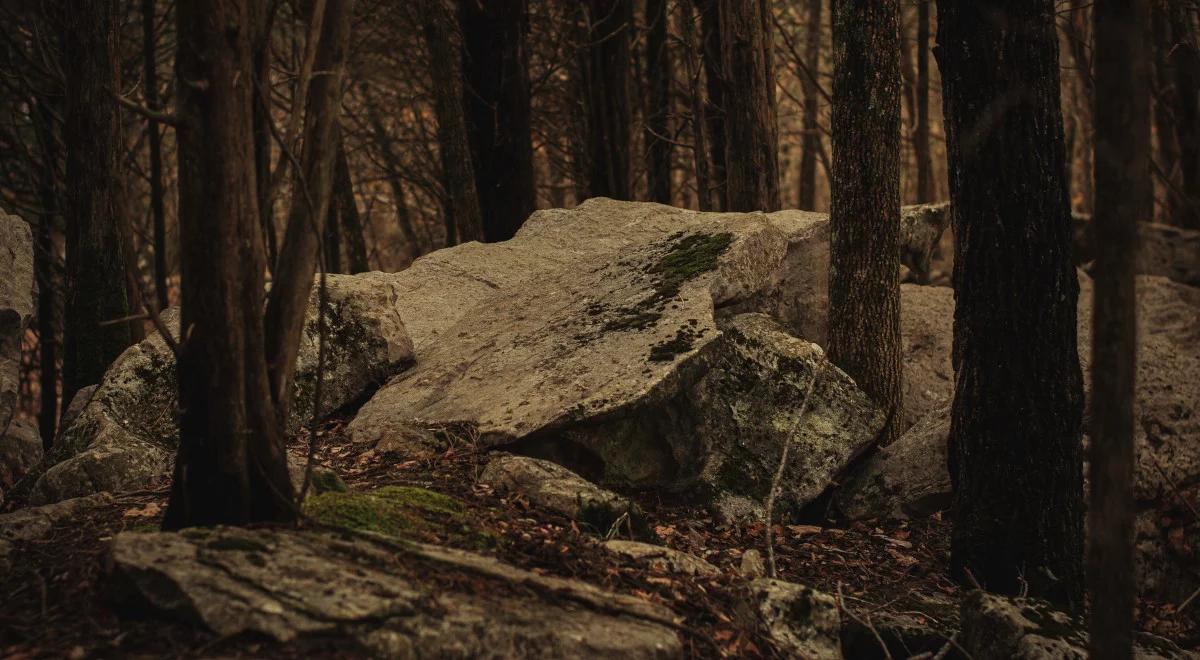 Magiczny zakątek uratowany przez mieszkańców [POSŁUCHAJ]