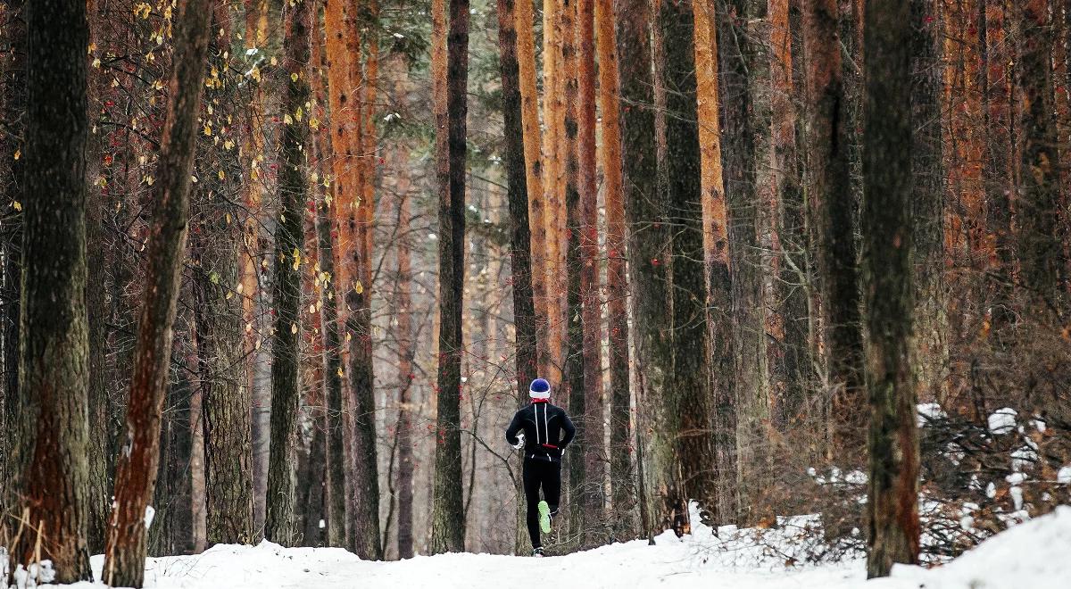 Kolejna edycja "Biegam, bo lubię – lasy" przed nami