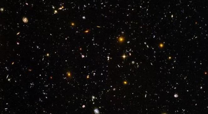 Mikrokosmos 24 października 2011