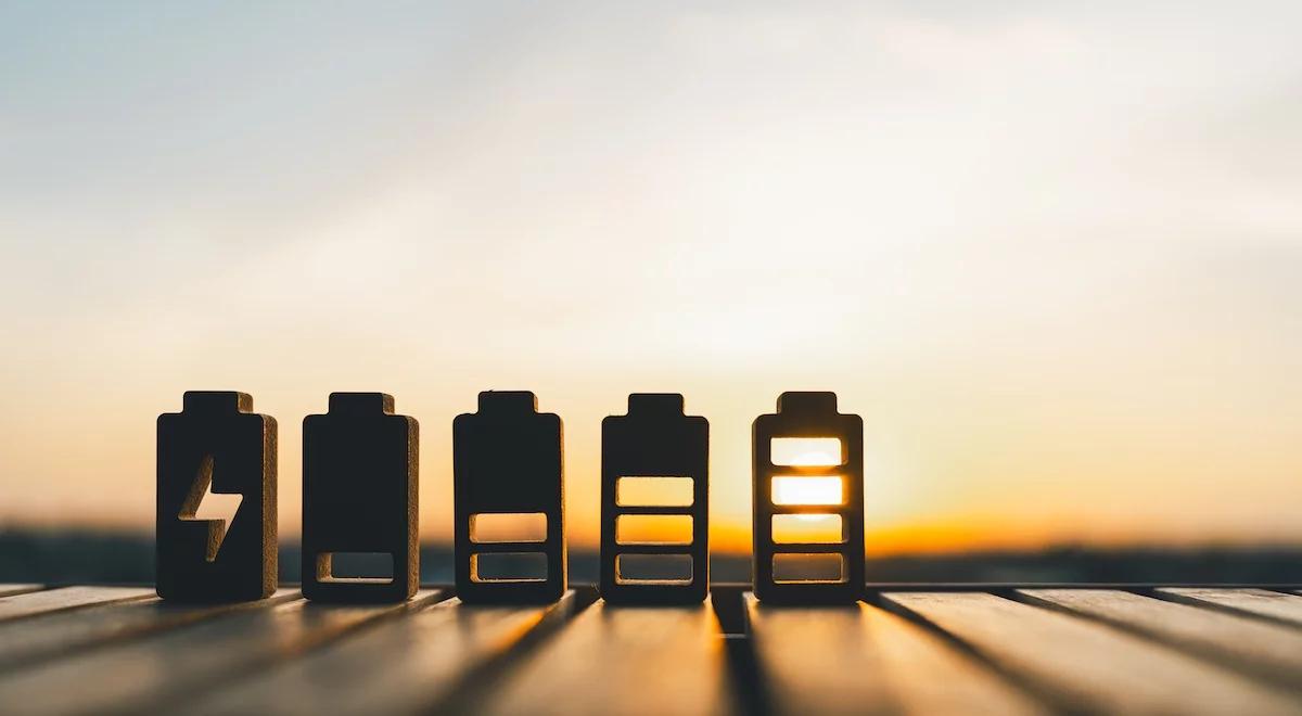 Zagadka chemicznej nieśmiertelności. Czy można stworzyć baterię idealną?