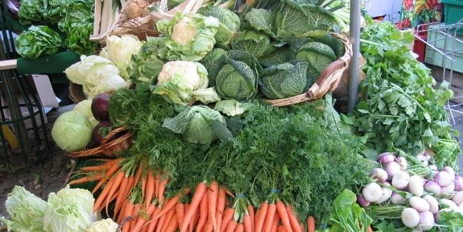 Alergia niejedno ma imię