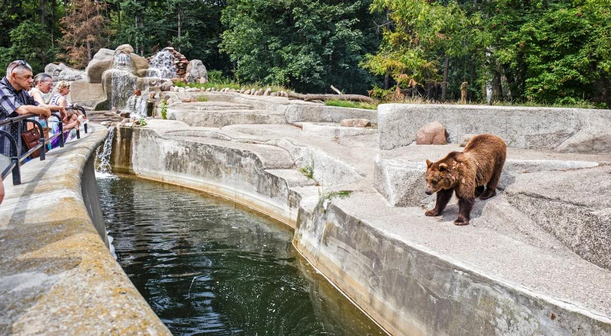 Zoo – więzienie czy azyl?