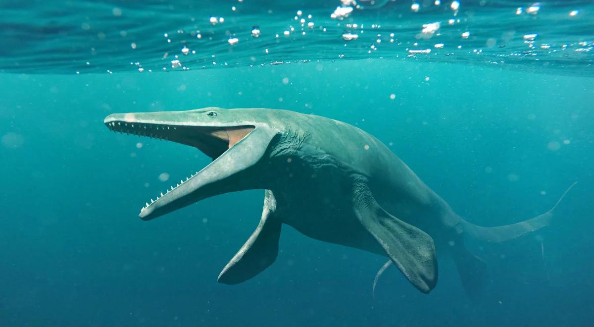 Dlaczego dinozaury żyjące w morzach również wyginęły?