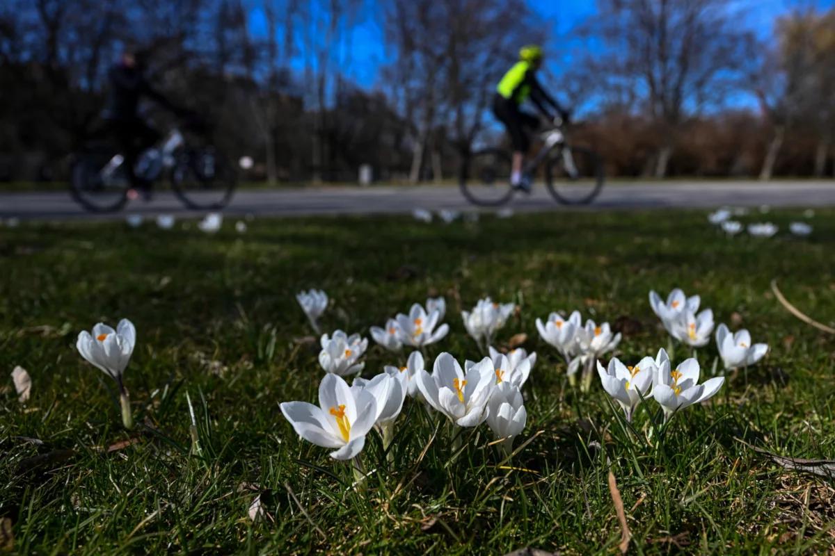 To już dziś! Pierwszy dzień wiosny