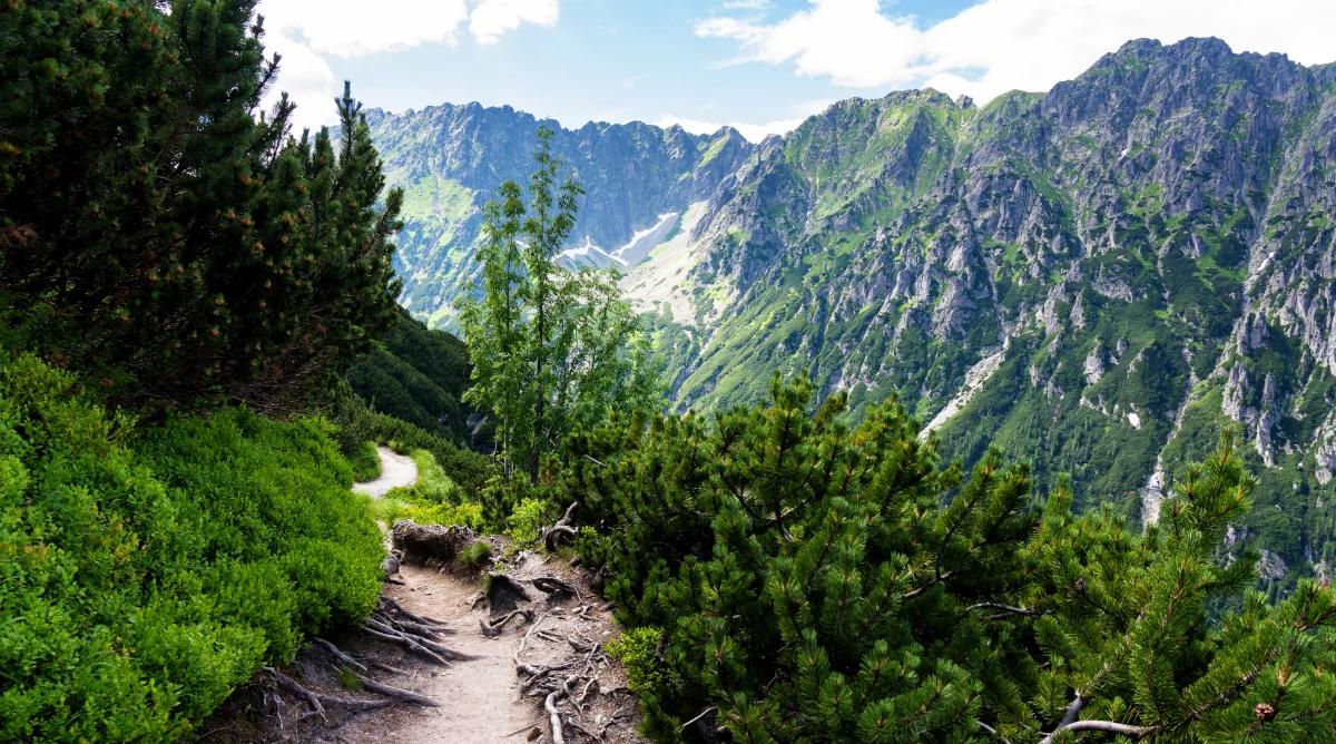 Jak pandemia koronawirusa wpłynęła na naturę i zabytki? 
