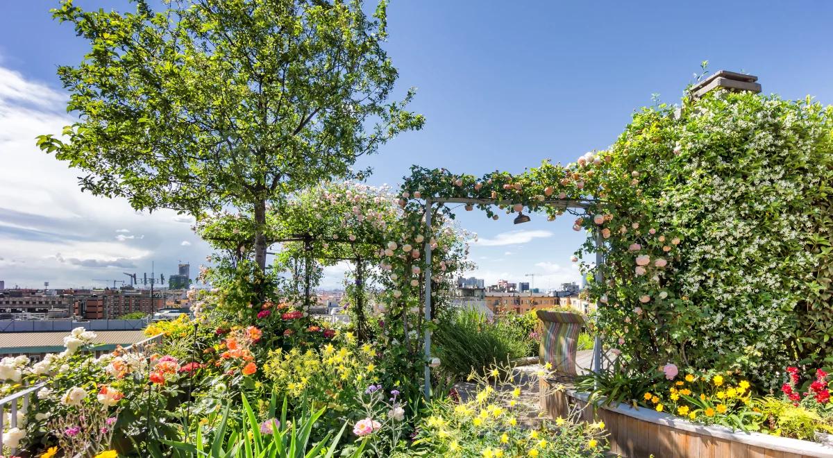 Uprawy rolnicze na dachach. Produkcja żywności to tylko jeden z atutów