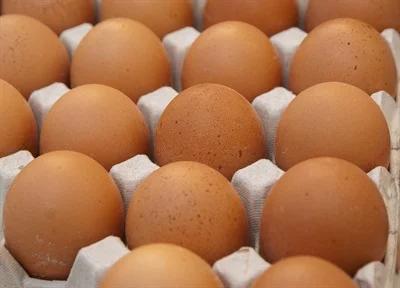 EU plans to reintroduce tariffs on Ukrainian imports of eggs and sugar