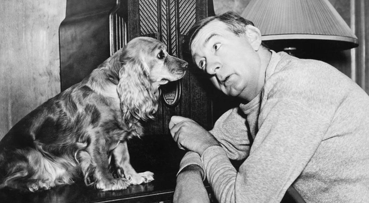 Jak słyszą zwierzęta?