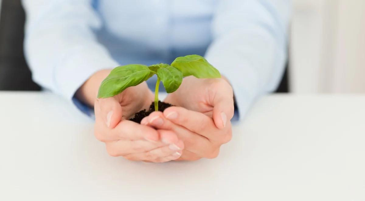 Jakie prawa powinny mieć... rośliny?