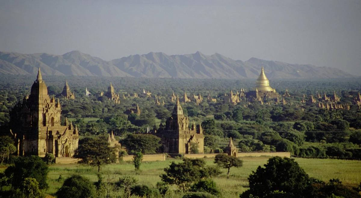 "Z najwyższej półki" w Birmie i w Białowieży