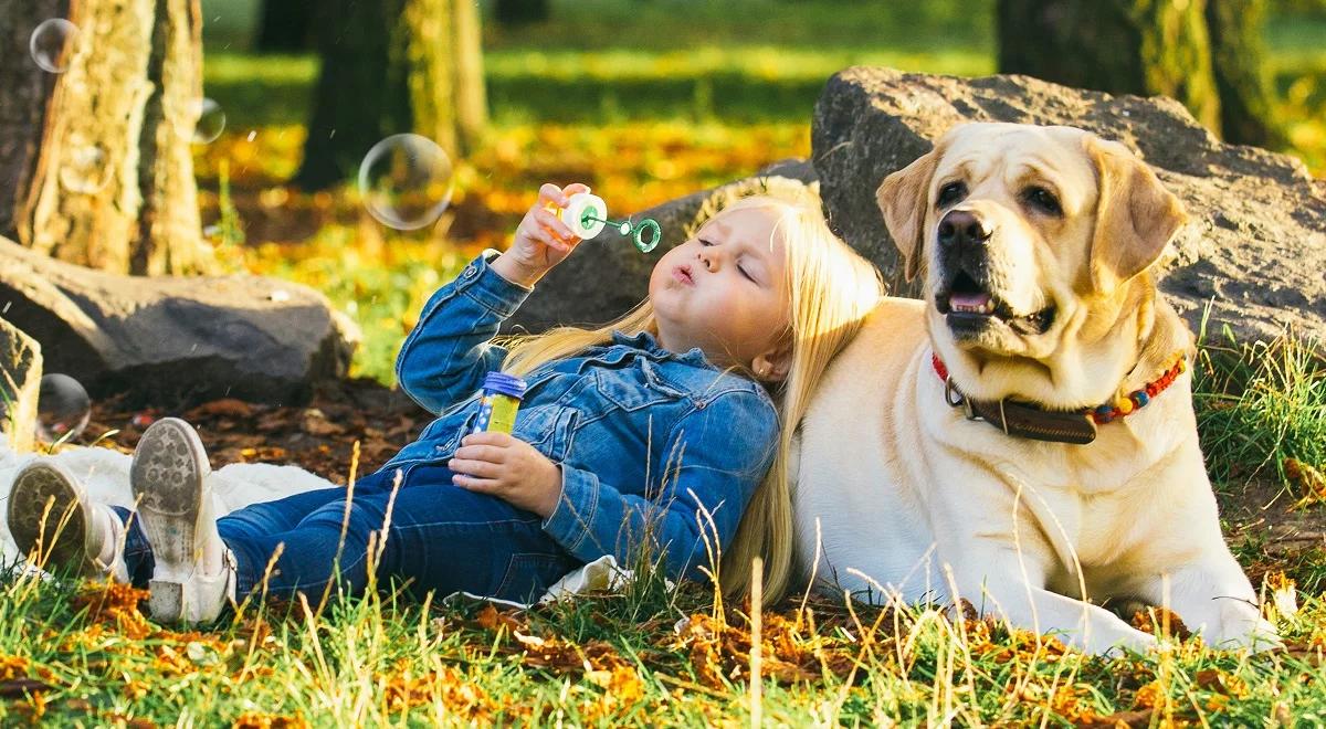 Pies jako lekarz, czyli zalety dogoterapii