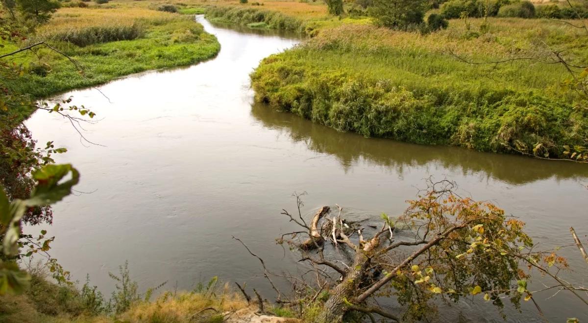 Operacja CZYSTA RZEKA 2024