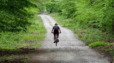 "Wakacje za grosze". Jak zaplanować wyprawę trasą Green Velo?