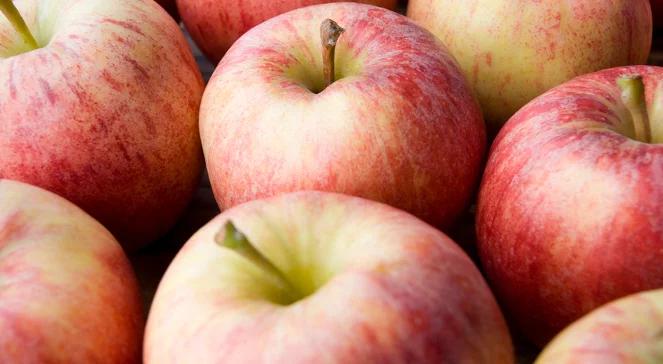 Czy z uwagi na embargo kupuję częściej polskie produkty?