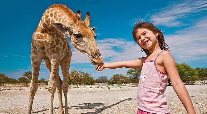 Zapraszamy do "Zagadkowej Namibii"! 