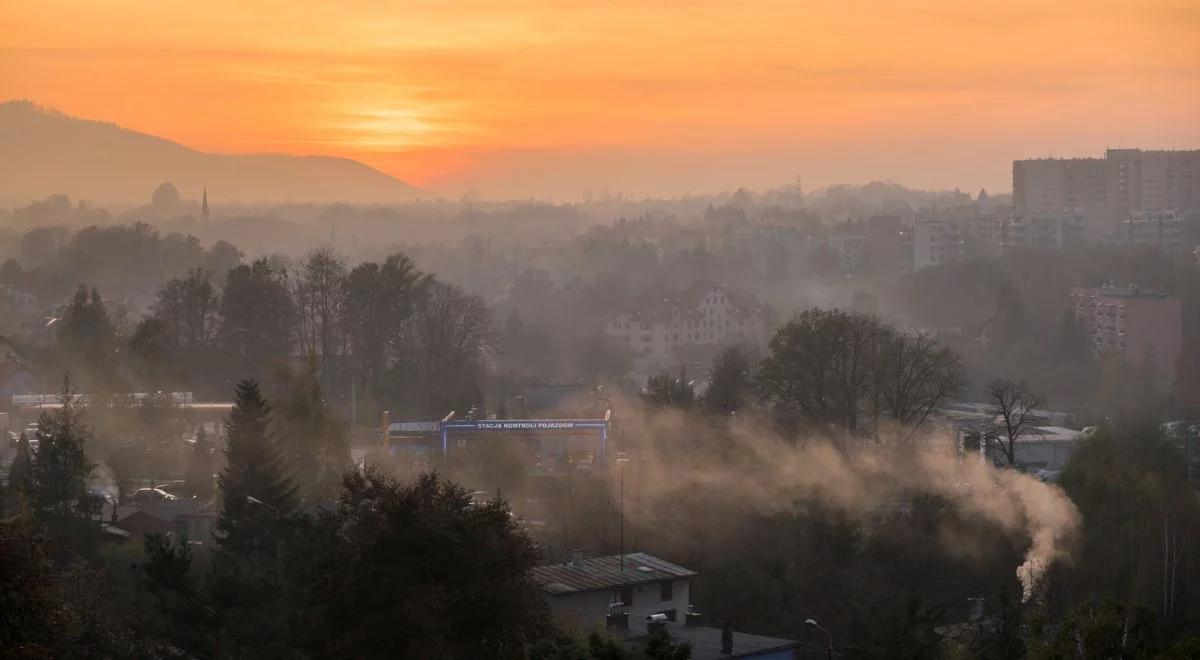 Smog - wciąż powszechny, ale bardziej szkodliwy, niż myśleliśmy