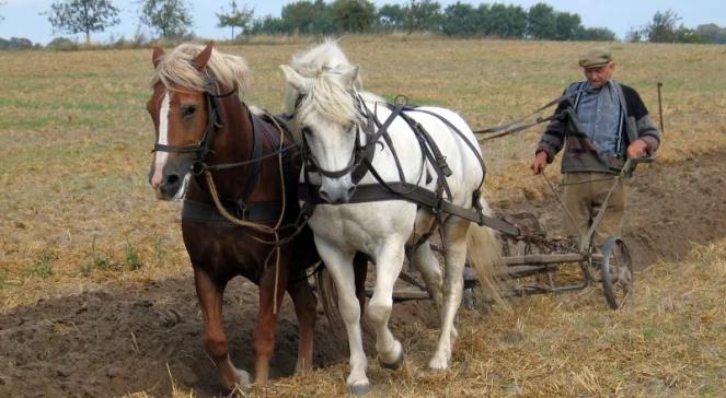 Jak długa była droga polskiego chłopa do wolności