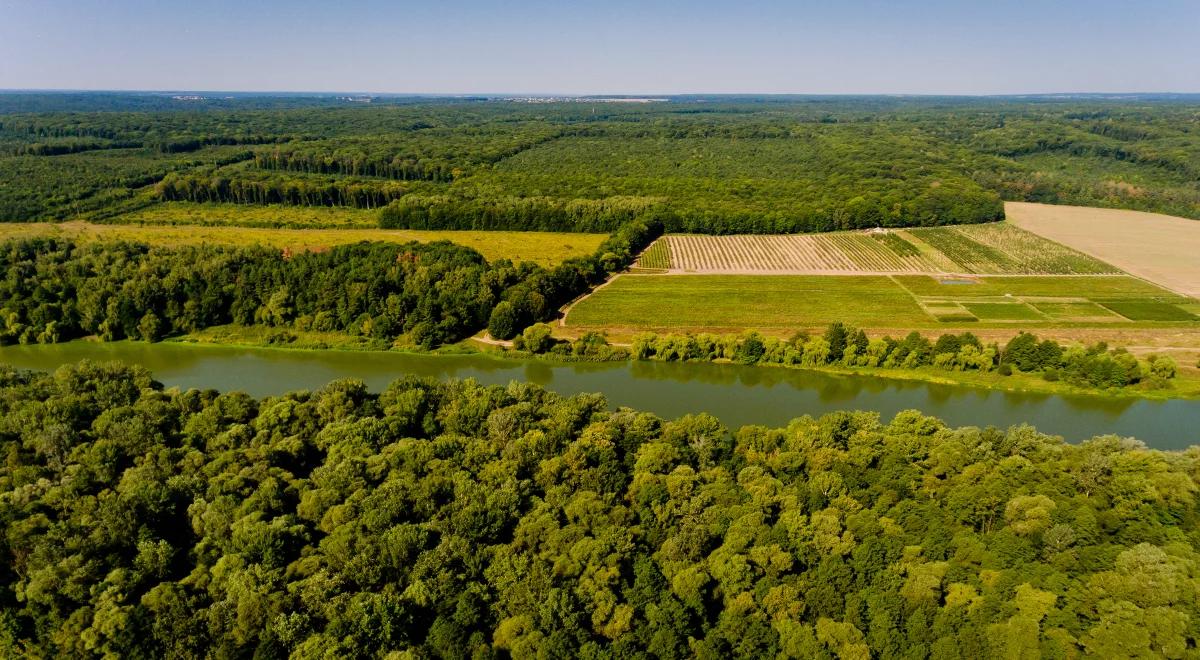 Cudze chwalimy, swoje… poznajmy!