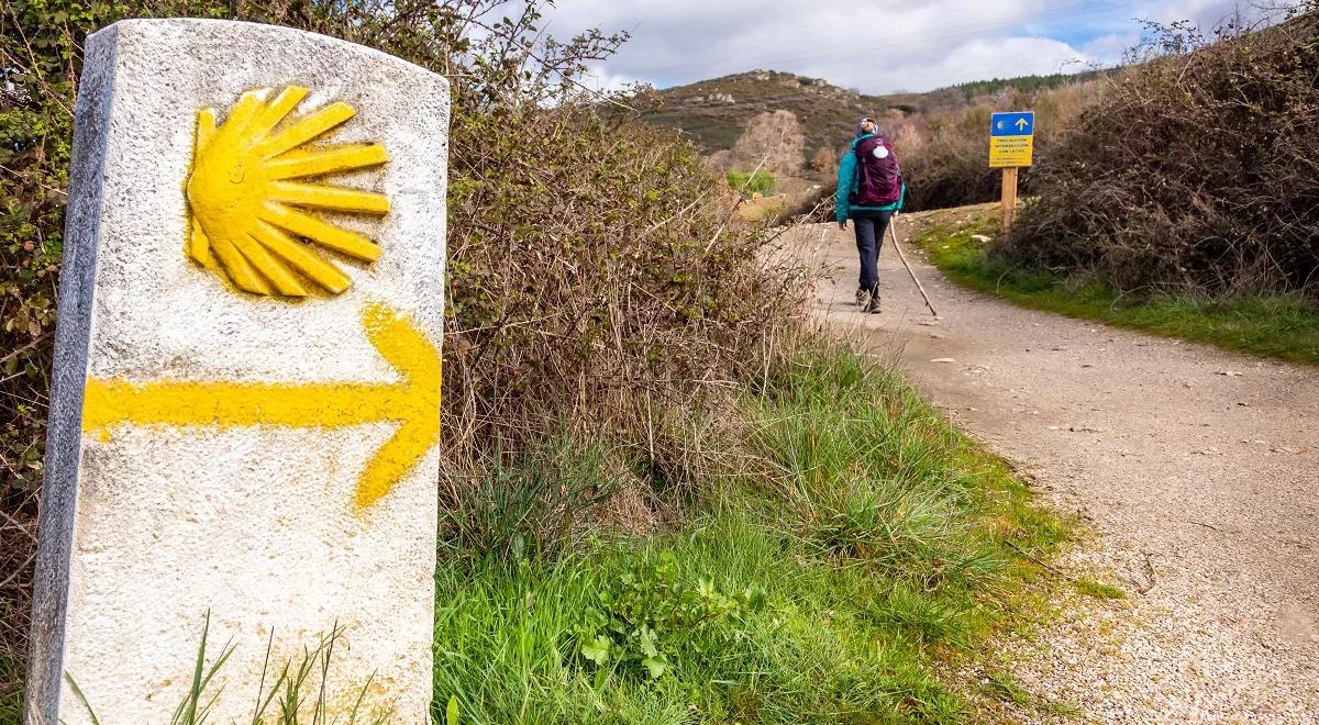 Camino de Santiago – lekarstwo na rany serca